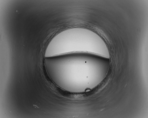 X0000100310501200806051332