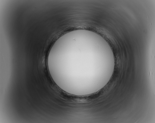 X0000100310502200806051332