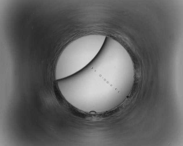 X0000100310503200806051332