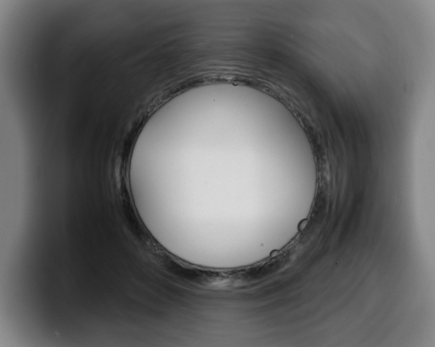 X0000100310504200806051332