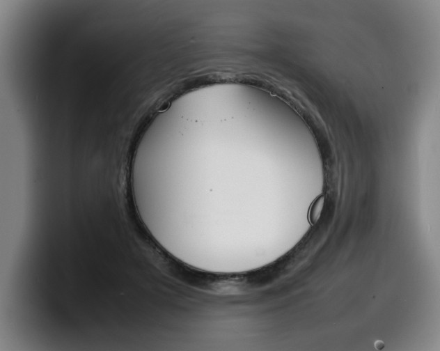 X0000100310505200806051332