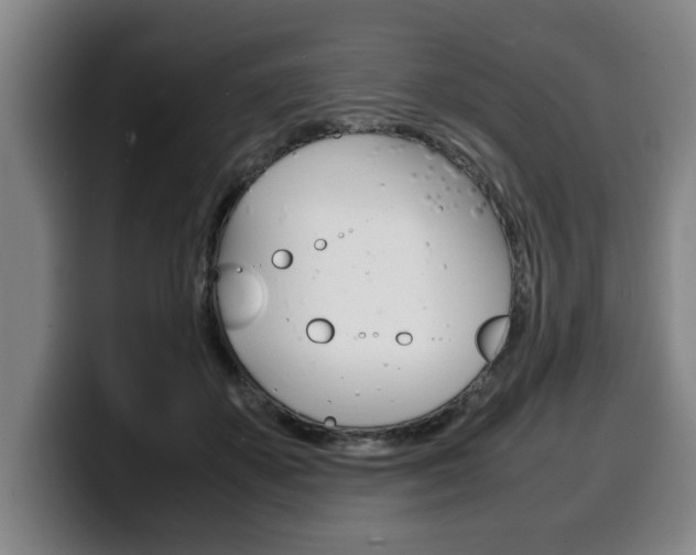 X0000100310507200806051331