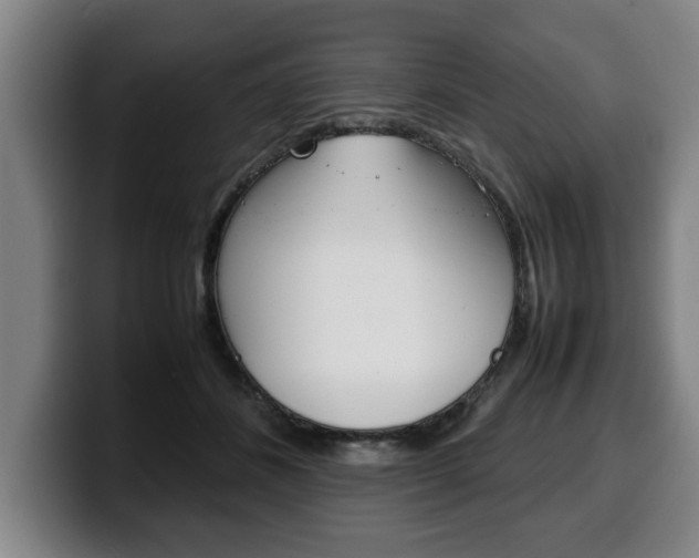 X0000100310508200806051331