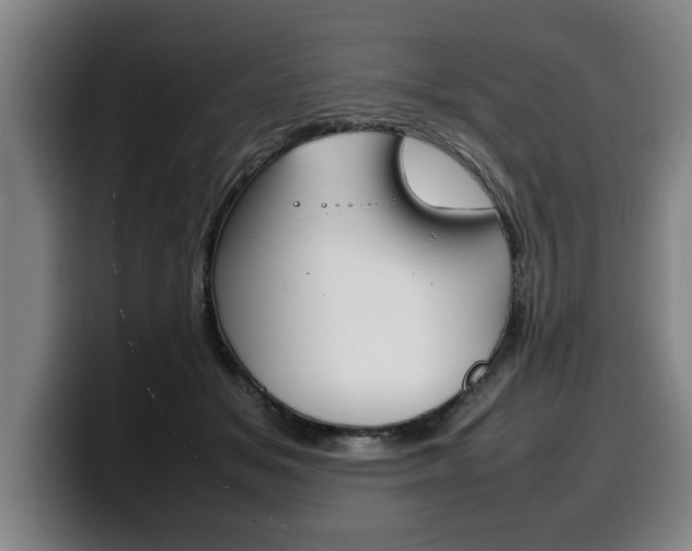 X0000100310509200806051331