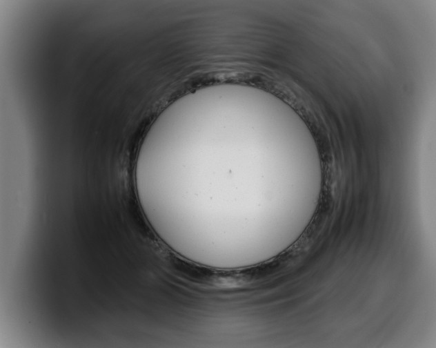 X0000100310510200806051331