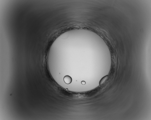X0000100310511200806051331