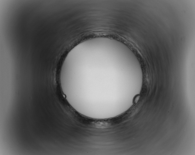 X0000100310512200806051331