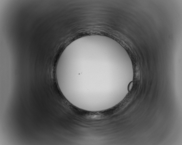 X0000100310514200806051331