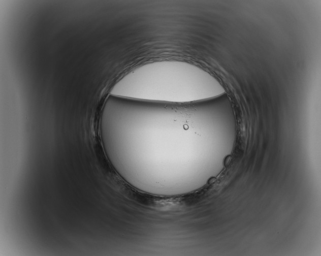 X0000100310516200806051331