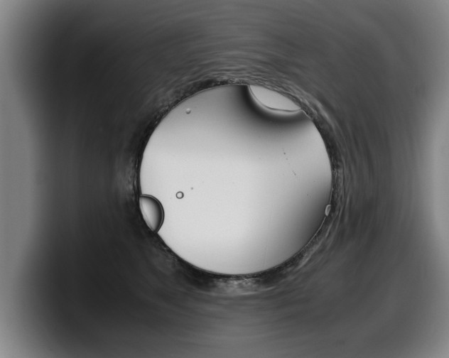 X0000100310517200806051331
