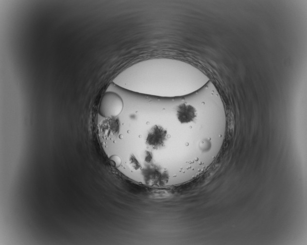 X0000100310519200806051331