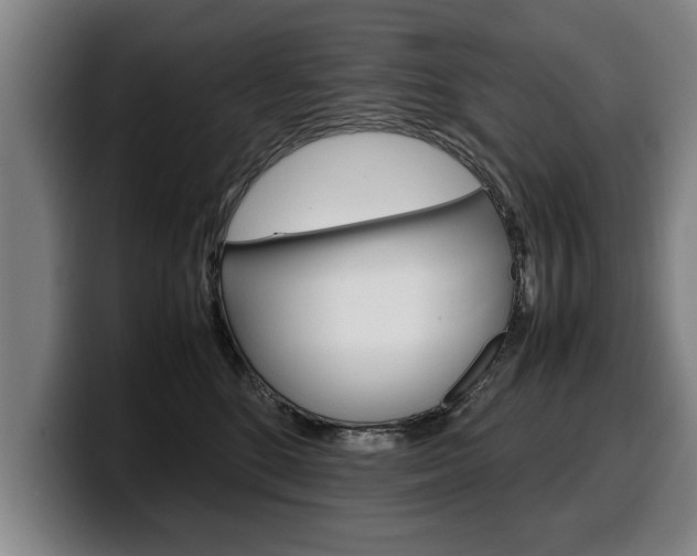 X0000100310520200806051331