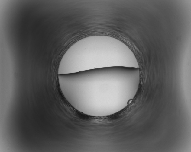 X0000100310521200806051331