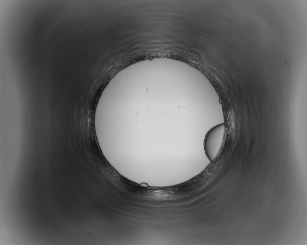 X0000100310522200806051331