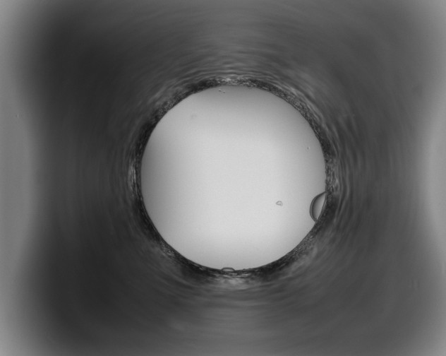 X0000100310523200806051331