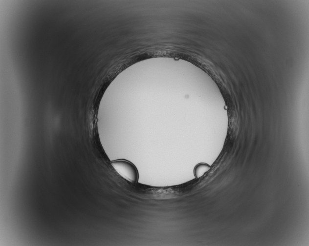 X0000100310525200806051331