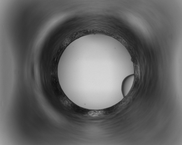 X0000100310526200806051331