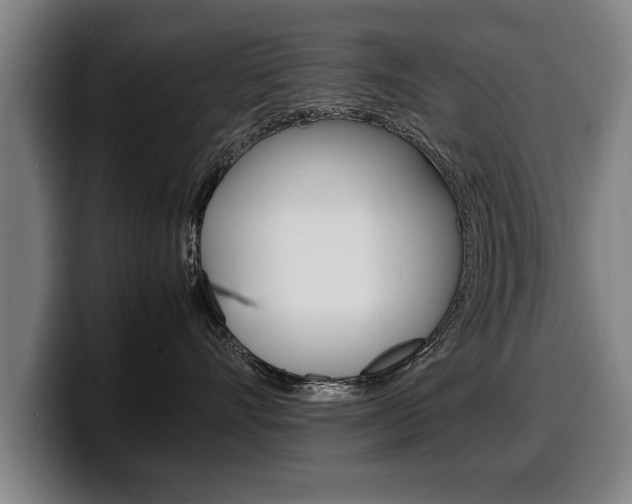 X0000100310528200806051331
