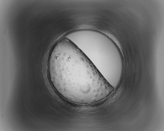 X0000100310529200806051331