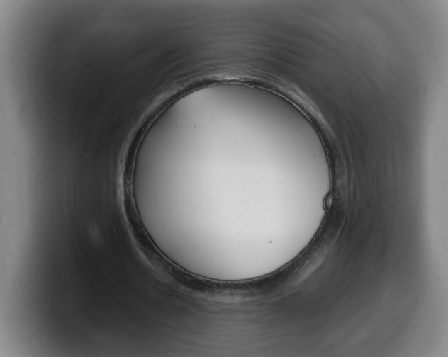 X0000100310530200806051331