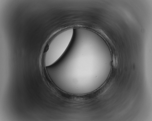X0000100310531200806051331