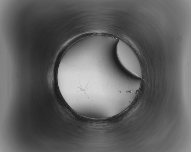X0000100310532200806051331