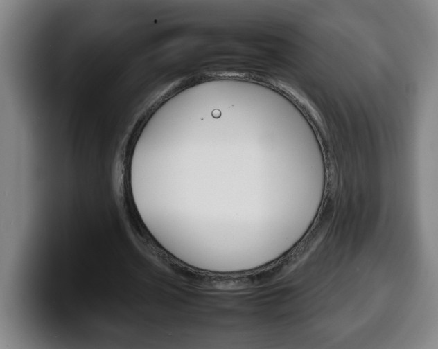 X0000100310533200806051331