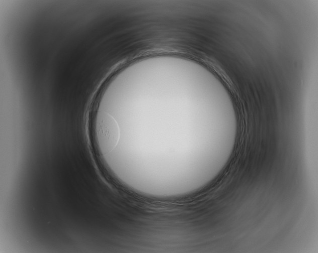 X0000100310534200806051331
