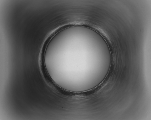 X0000100310536200806051331