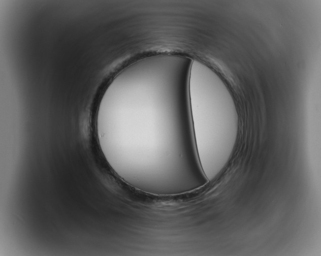 X0000100310540200806051331