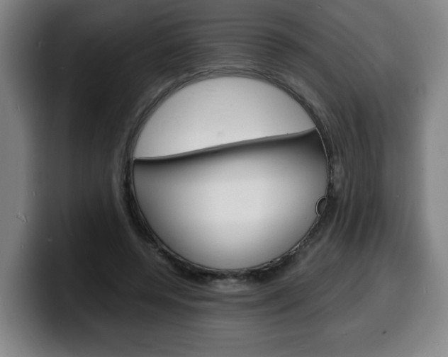 X0000100310544200806051331