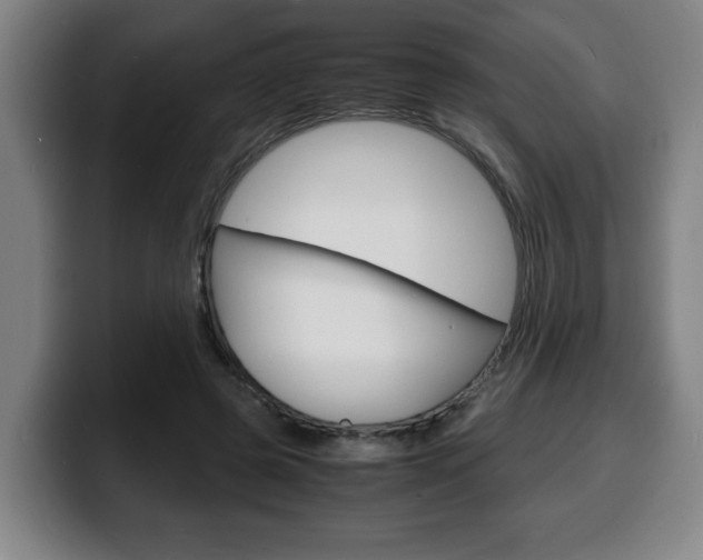 X0000100310545200806051331