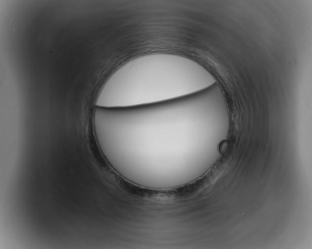 X0000100310546200806051331