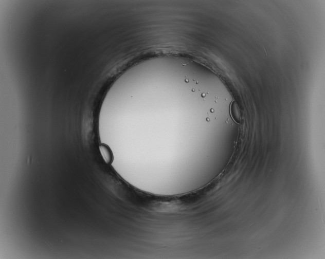 X0000100310548200806051331