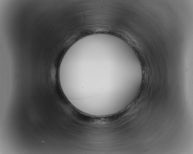 X0000100310550200806051331