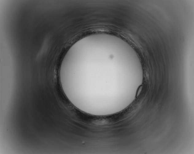 X0000100310551200806051331