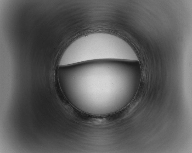 X0000100310552200806051331