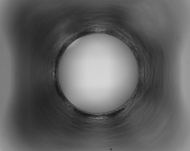 X0000100310553200806051331