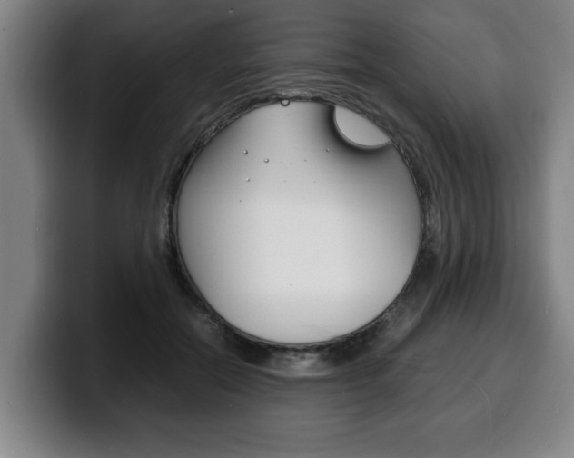 X0000100310554200806051331