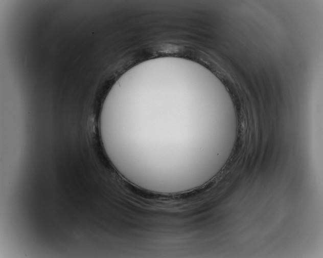 X0000100310555200806051331