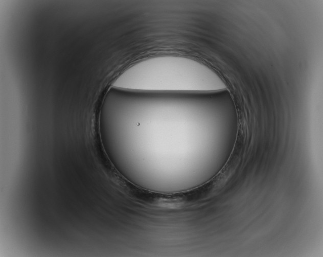 X0000100310556200806051331