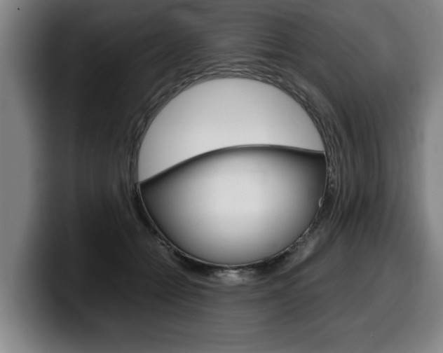 X0000100310558200806051331