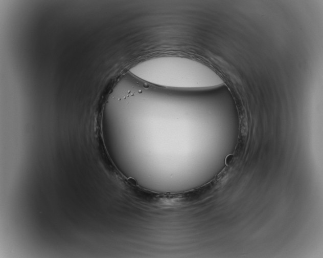 X0000100310560200806051331