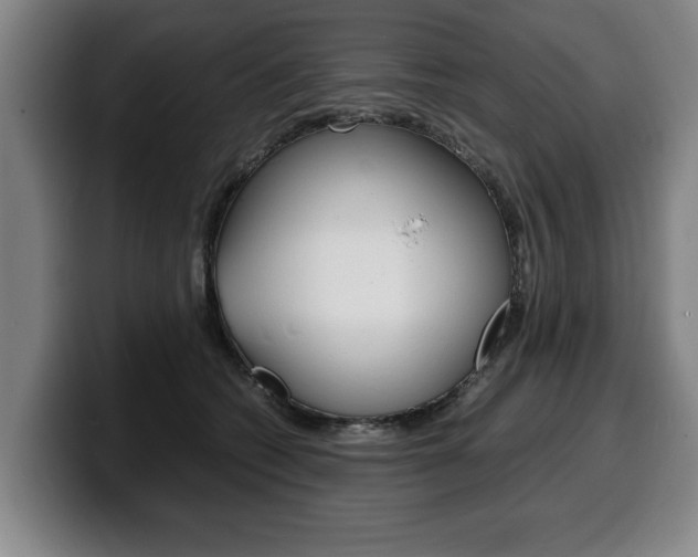 X0000100310562200806051331