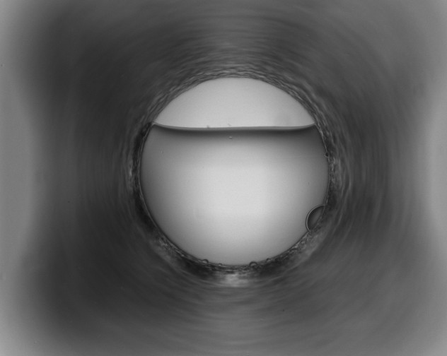 X0000100310564200806051331