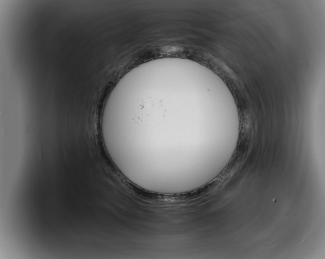 X0000100310565200806051331