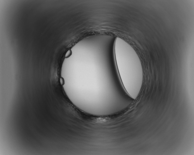 X0000100310566200806051331