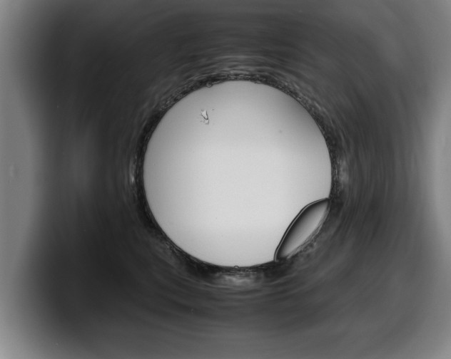 X0000100310567200806051331