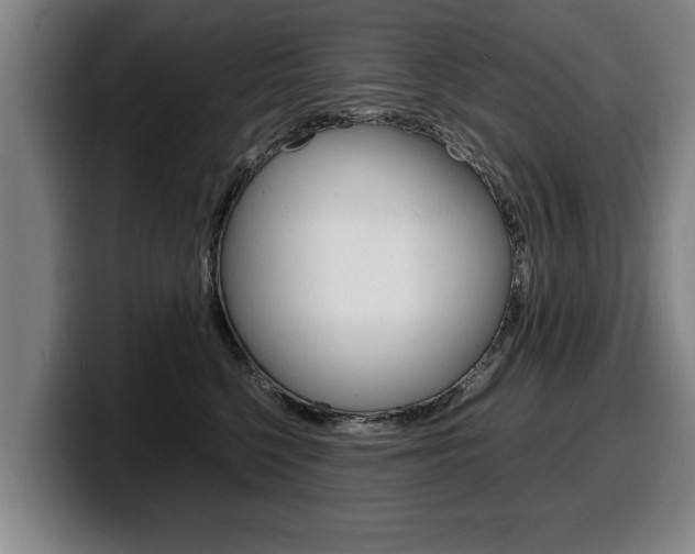 X0000100310568200806051331