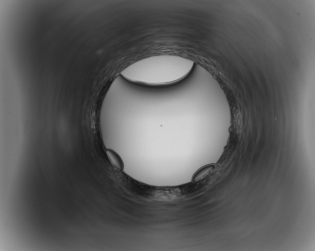 X0000100310571200806051331
